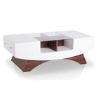 Angelic Contemporary Storage Coffee Table with Glass Insert